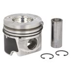 Piston NE 130089002421