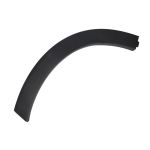 Aile - moulure / protection BLIC 5703-04-7821471P