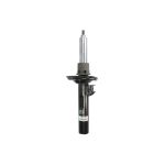 Amortecedor de choque ARNOTT EUROPE MR-3852