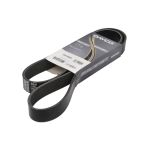 Courroie trapézoïdale à nervures DAYCO DAY8PK1360HD