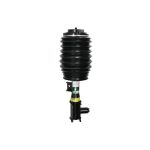 Suporte, suspensão pneumática ARNOTT EUROPE AS-3899