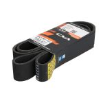 Correa poly V CVA 2941781 CVA