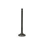 Válvula de escape FRECCIA R6495/RNT