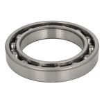 Rolamento ZVL 6020 /ZVL/