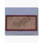 Filtro de ar FLEETGUARD AF4965