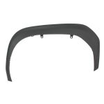Aile, Composant/Baguette de protection BLIC 5703-08-8168371P