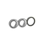 Conjunto de rolamentos de roda SKF VKBA 741