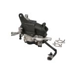 EGR-klep PIERBURG 7.24809.98.0
