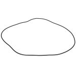 O-ring, cambio ZF 0734 300 485