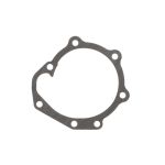 Dichtung, Kühlmittelpumpengehäuse VOLVO PENTA 3884539