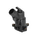 Thermostat d'eau WAHLER 412488.96D