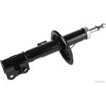 Amortiguador HERTH+BUSS ELPARTS J4318004