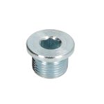 Bouchon de vidange VM MOTORI VM41770770A