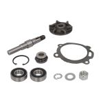 Kit de réparation, pompe à eau THERMOTEC WP-MF119