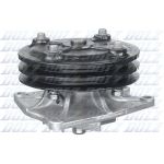 Pompa del refrigerante DOLZ H208