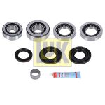 Kit de reparación, diferencial LUK 462 0216 10