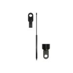 Gasfeder, Koffer-/Laderaum STABILUS STA095044