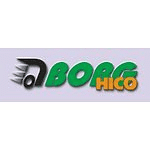 BORG