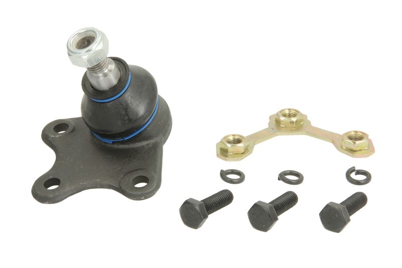 REINHOCH Čep ramena RH03-0002 (OE číslo 6Q0 407 366 A)