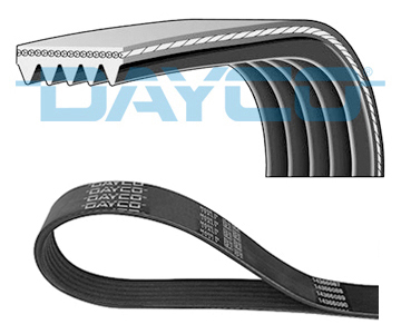 Curea transmisie cu caneluri DAYCO Multi-V-belt 5PK855 5 nervuri Lungime 855.0 mm FORD FOCUS II HONDA CIVIC IX JAZZ II III