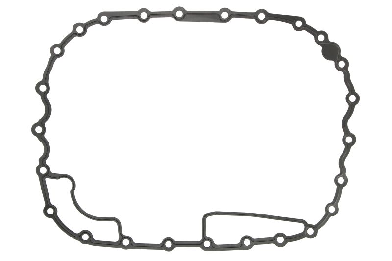 Etansare ulei transmisie manuala EURORICAMBI ZF TRAXON 0,03 kg