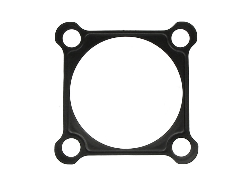 Etansare ulei transmisie manuala EURORICAMBI Gearbox Gasket