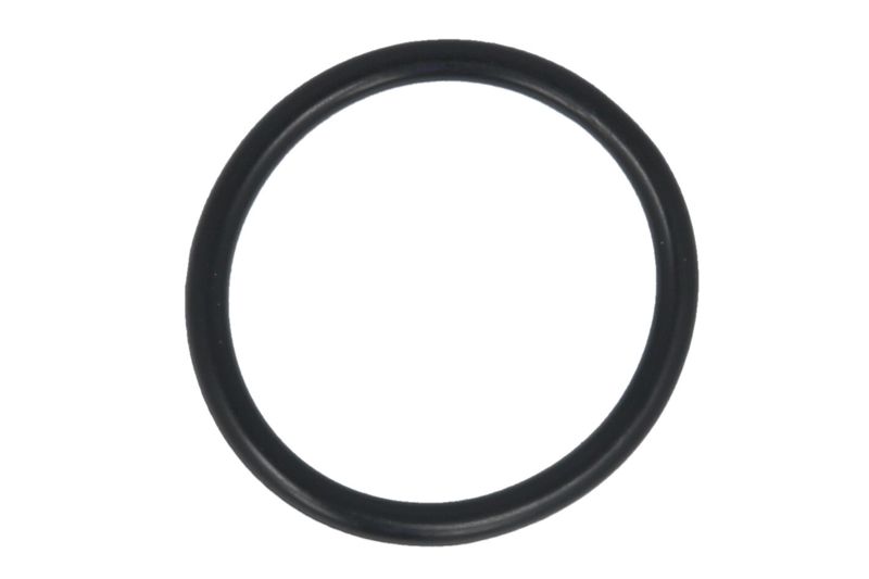 Garnitura galerie admisie AJUSA Citroen Berlingo C2 C3 C4 1.4D 1.6D 11.03- Water Manifold Gasket