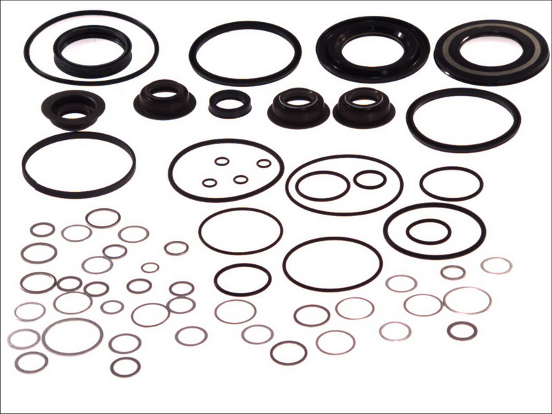 Set garnituri transmisie manuală EURORICAMBI ulei sigilii inel O cutie viteze ZF MAN Kit 16S-151/181/221 ECOSPLIT I