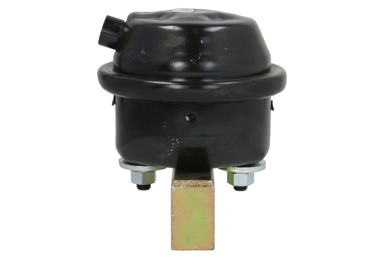 Cilindru de Pretensionare Frână Pneumatică Peters Servo-Motor 38 Diametru Cursă 76mm Filet M16x1.5mm BPW