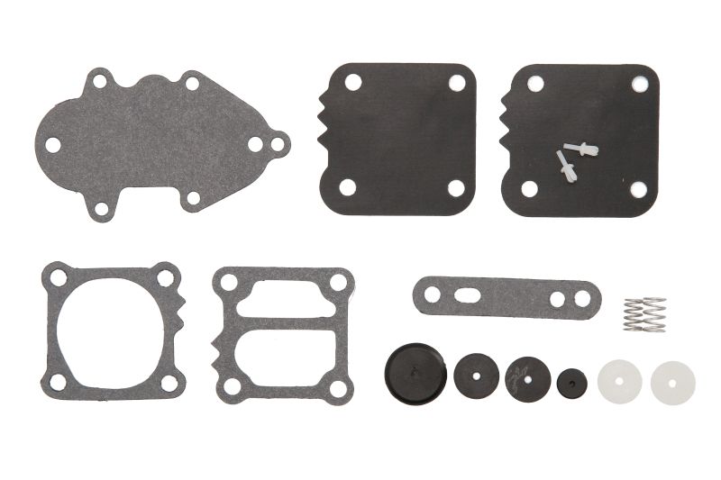 Set reparatie, pompa combustibil SIERRA INTERNATONAL LLC