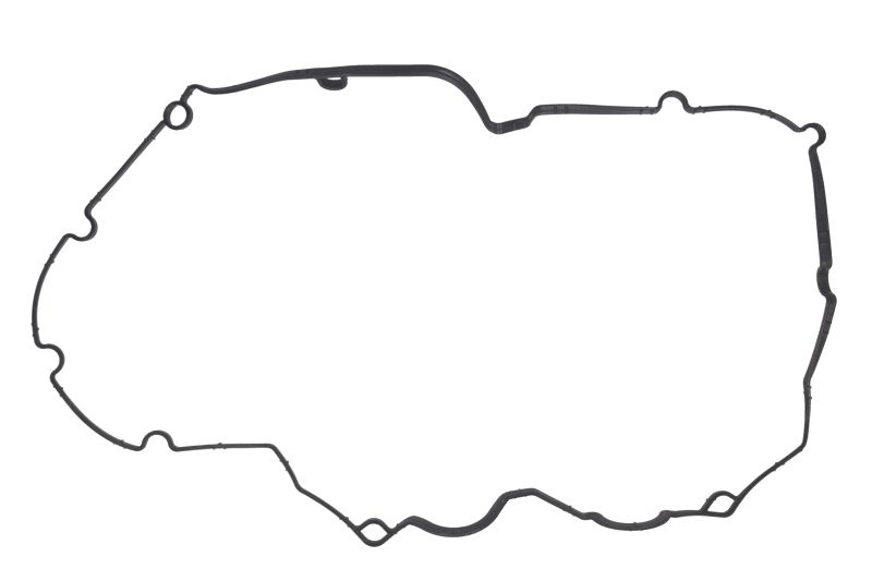 Garnitura capac supape REINZ Porsche Panamera 4.8 09.09-07.13 cilindrii 5-8 chiulasa carcasa supapelor motor