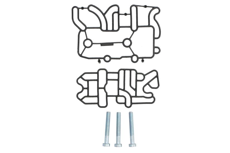 Set garnituri cutie viteze automată ZF AS TRONIC EURORICAMBI Garnituri selectoare