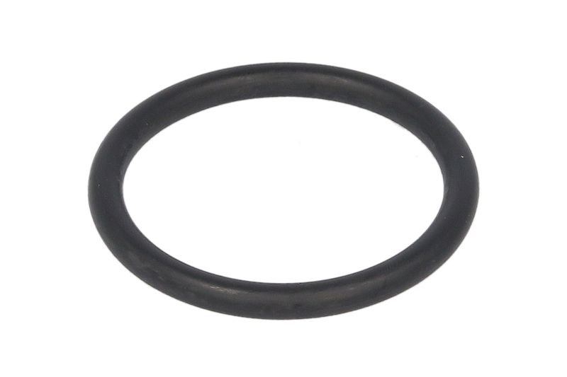 Garnitura diferențial o-ring 47mm x 5,35mm SCANIA R641 R642 R770 RB660 RBP831 RBP832 RP831 RP832 RV760 RV761 EURORICAMBI