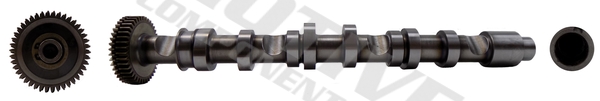 Ax cu came MOTIVE Camshaft evacuare SEAT IBIZA IV SC ST HATCHBACK SKODA FABIA II ROOMSTER VW POLO V 1.2D 10.09-05.15