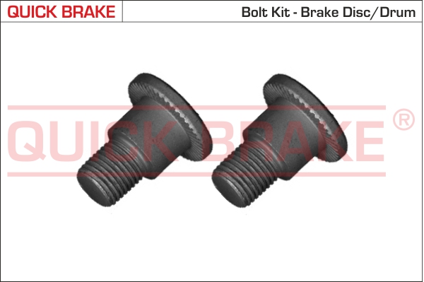 Surub disc frana Fata/Spate M10x1x22 2 bucati VW AMAROK CRAFTER MULTIVAN V VI TRANSPORTER CARAVELLE VI QUICK BRAKE