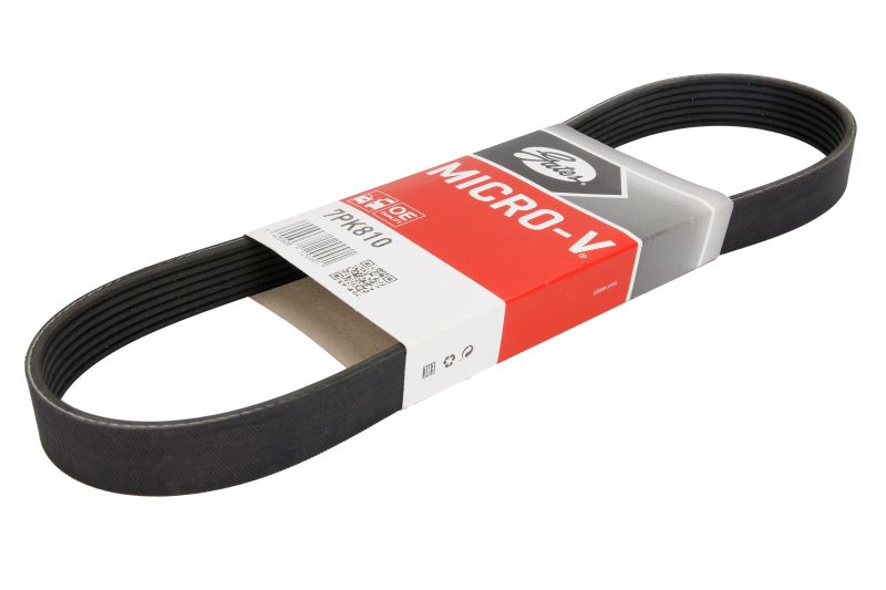 Curea transmisie caneluri GATES Multi-V-belt 7PK810 LEXUS Lungime 810mm Latime 24.9mm Numar nervuri 7 negru