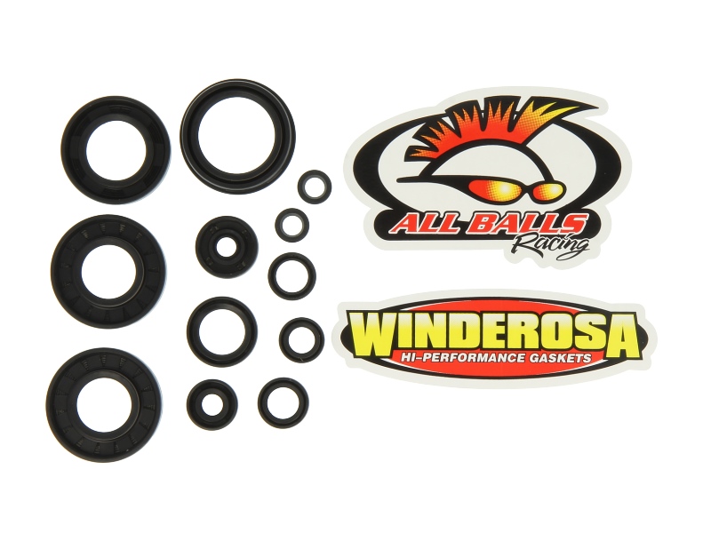 Set garnituri motor WINDEROSA pentru YAMAHA YZ 125 2005-2019