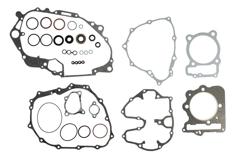 Set garnituri motor WINDEROSA Honda TRX 400 1999-2004