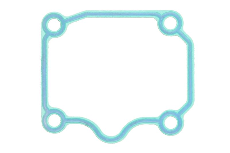 Etansare ulei transmisie manuala ZF T 7300 Gearbox Gasket