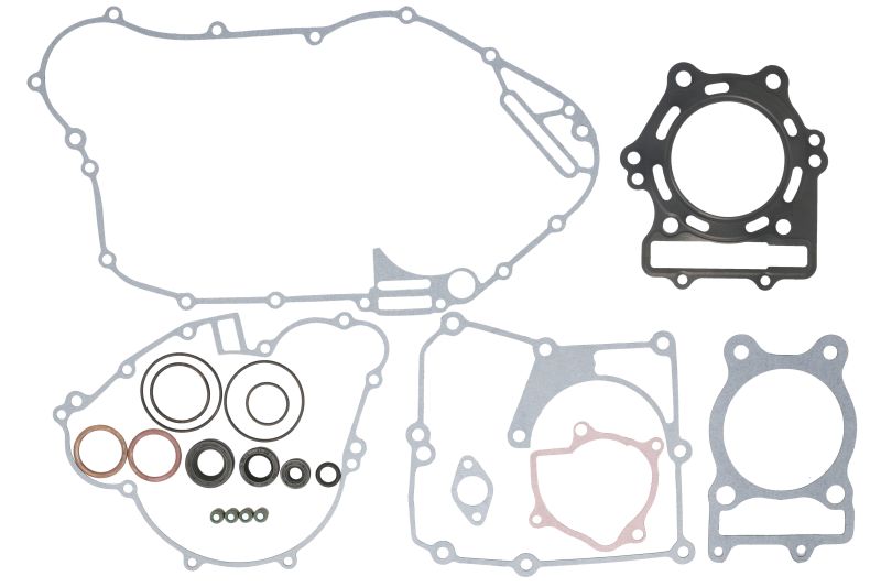 Set garnituri motor complet WINDEROSA Engine gaskets piesa Index W811831 Eticheta printabila