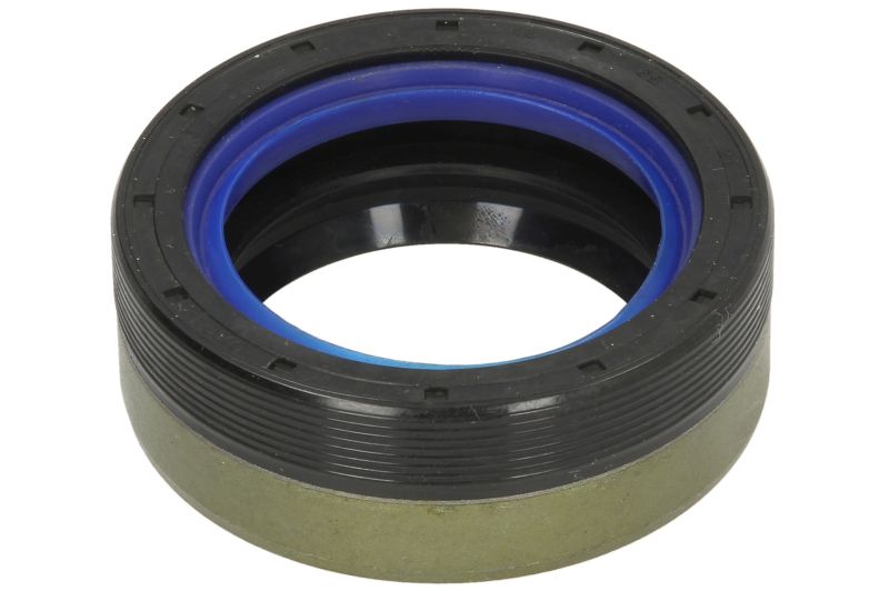 Garnitura diferențial axă spate simmering 46mm interior 65mm exterior 21mm grosime BTA JOHN DEERE 6000 4045D-6068T