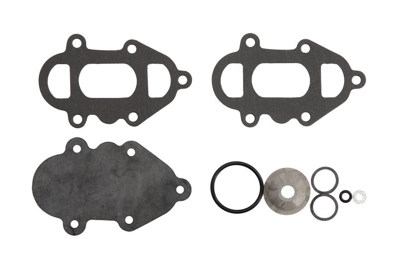 Set reparatie, pompa combustibil SIERRA INTERNATONAL LLC