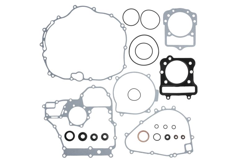 Set garnituri complet, motor WINDEROSA