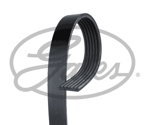 Curea transmisie caneluri GATES Multi-V-belt 6PK1050 RVI MAGNUM 1050mm 21.4mm 6 nervuri RENAULT TRUCKS