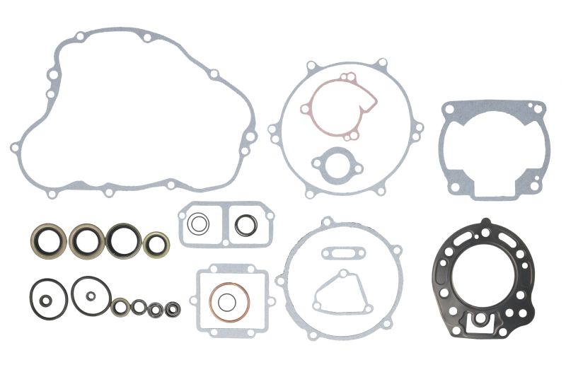 Set garnituri complet motor WINDEROSA