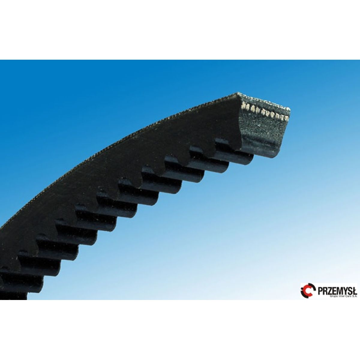 Cinghia di distribuzione CONTINENTAL XPZ 2500 /CONTI/