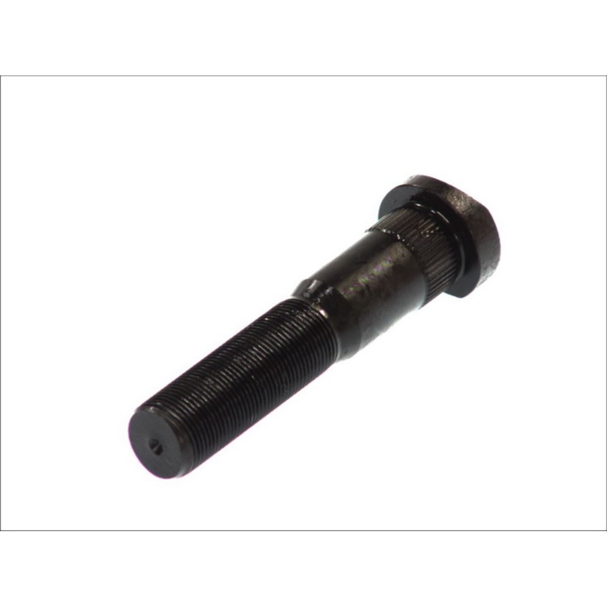 Image of Wielbout  40404