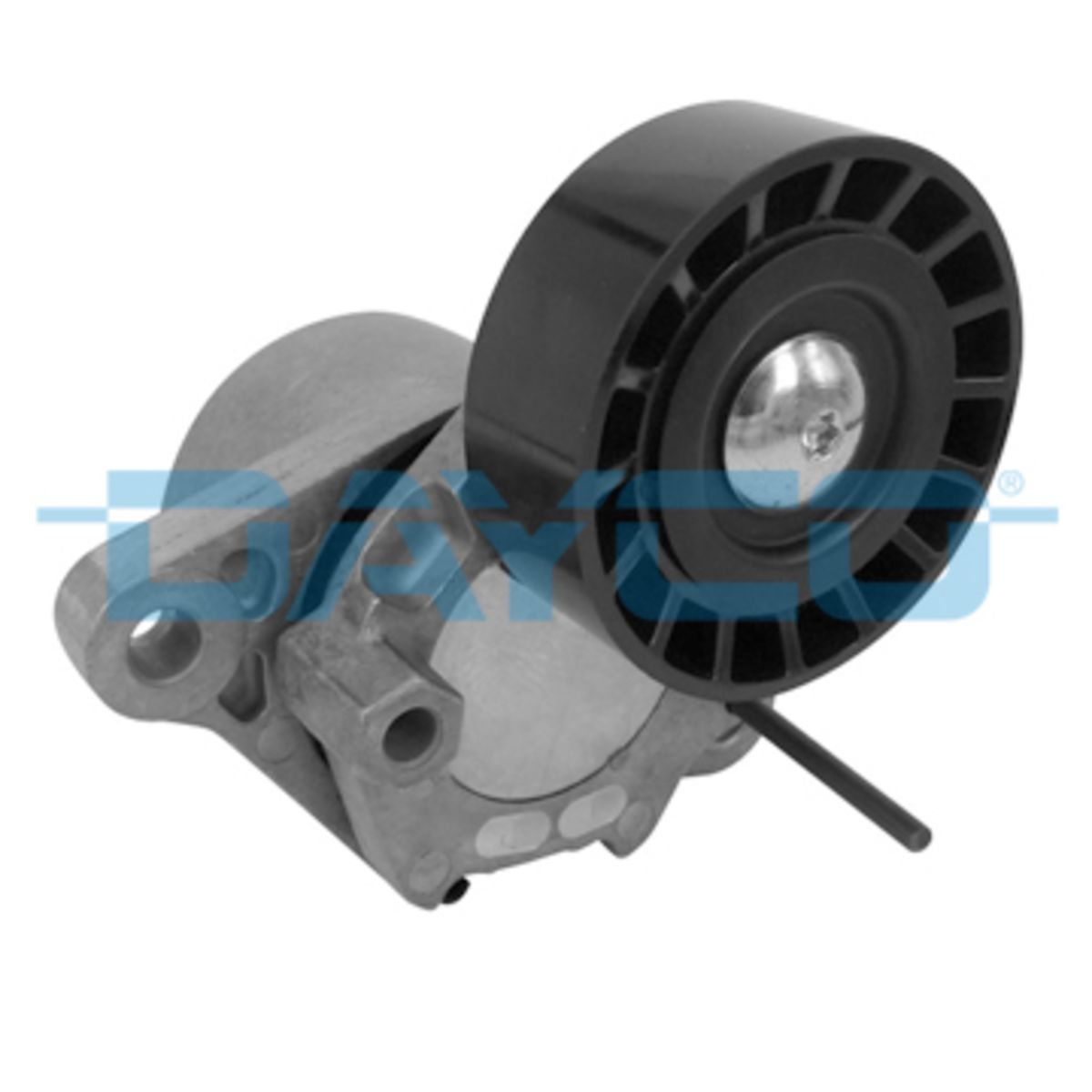 Image of Riemspanner, Poly V-riem