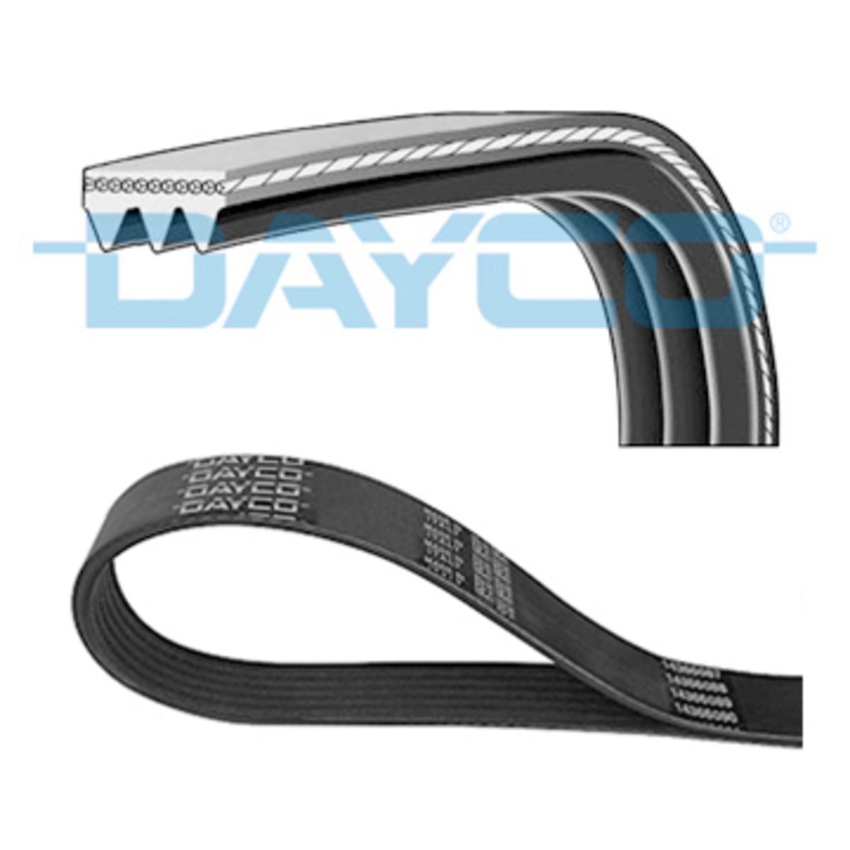 Dayco Correa Poly V 3Pk640