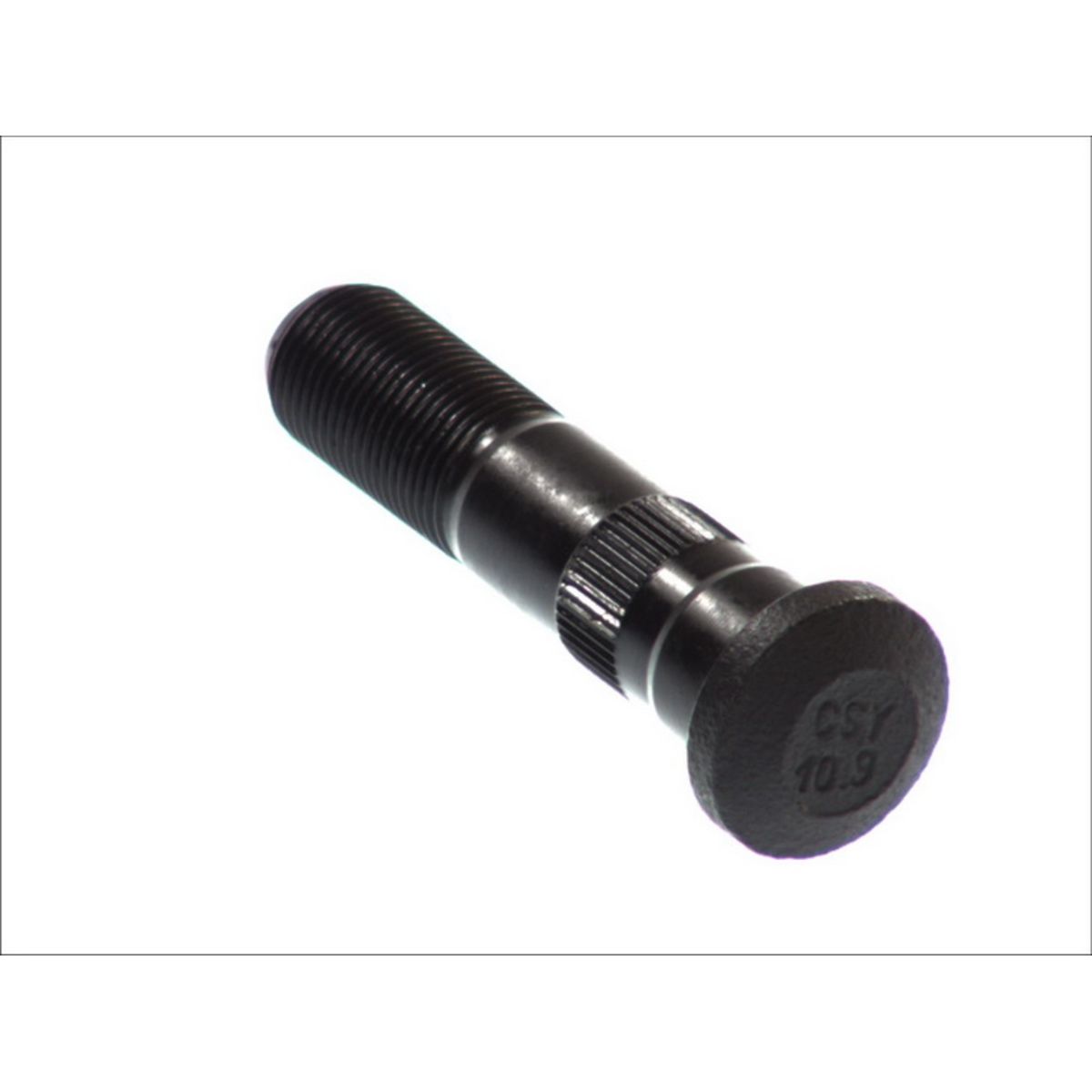Image of Wielbout  40407